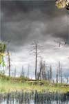 ����������� ������ ������.